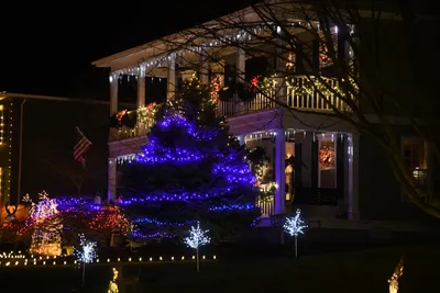 DSC_6731 (Large).JPG